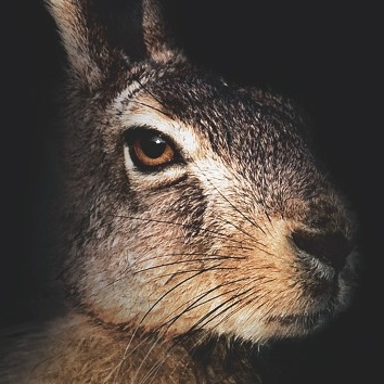 _s1ider's profile picture. 