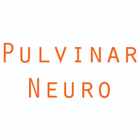 Pulvinar Neuro (@pulvinarneuro) 's Twitter Profile