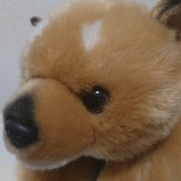 ひらりん🐻 (@1120_hirari) 's Twitter Profile