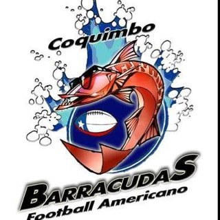 febrero de 2009 fue creado en la playa de la herradura de coquimbo, actualmente participa en la LCFA (liga chilena futbol americano)