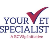 British College of Vet Specialists (@vetspecialistuk) 's Twitter Profile