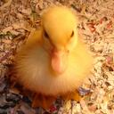 Sue Dalton - @smedalton - Twitter