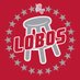 MW CHAMPS Barstool Lobos (@BarstoolLobos) Twitter profile photo