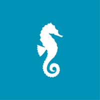 Seahorse Media (@seahorse_media) Twitter profile photo