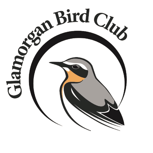 Visit Glamorgan Bird Club Profile