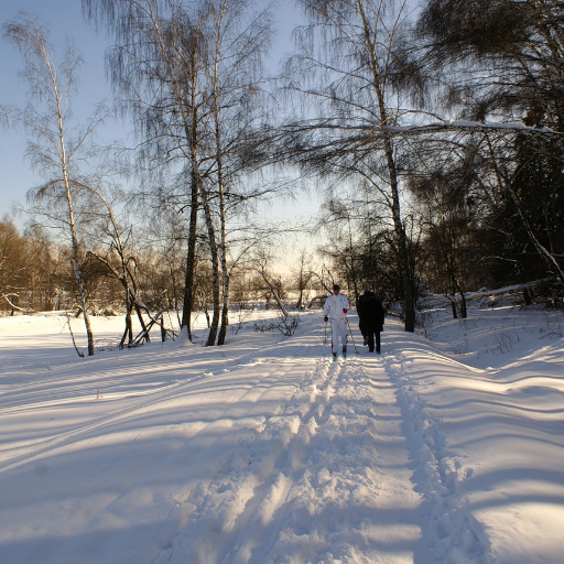 tamesha58235074's profile picture. Raising money for Dockland Settlements charity by running the London 2012 marathon