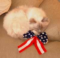 FriendsFurEver's profile picture. 