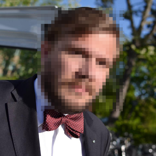 Statstjänsteman, hemvärnsbefäl & högerman.
Exilkarlskronit
