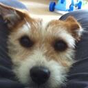 Nigel Mercer - @golfpronot - Twitter