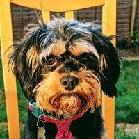 Lisa Retrac (@lisacarter10) 's Twitter Profile