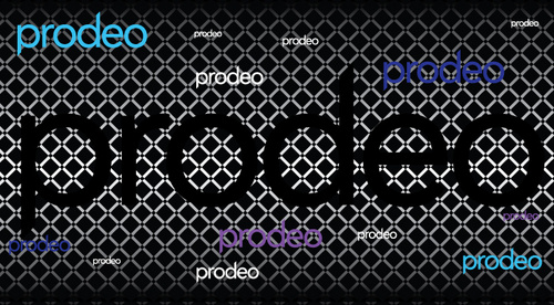 Prodeo is a gastro lounge, restaurant, wine bar and hotel in Palermo Soho, Buenos Aires offering top-notch service, food, drinks and social entertainment.