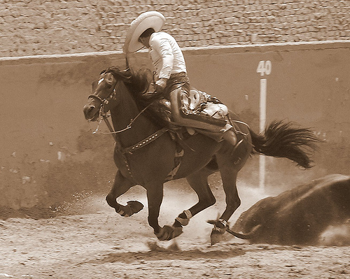 Patria, Mujer y Caballo