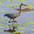 WestboroBeachCA's profile image