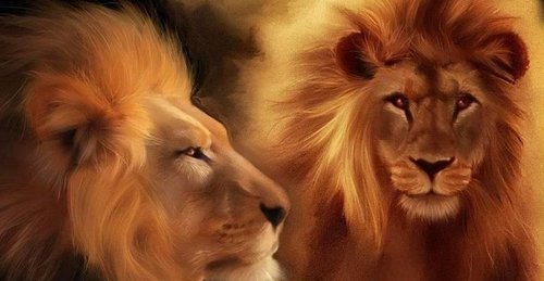 almosie's profile picture. Kenya safari guide & travel fanatic. Come explore Kenya with us!