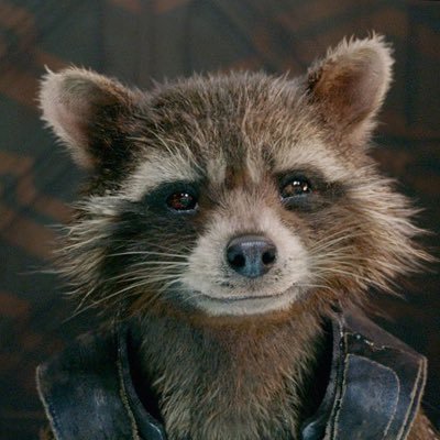 【非公式】パナクマ：アライさん装備さんのプロフィール画像