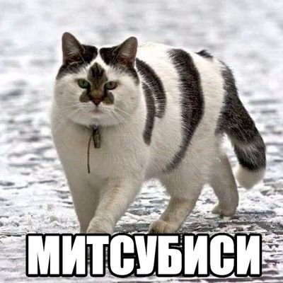 ZIxmGKQDcnIzRYW's profile picture. hi