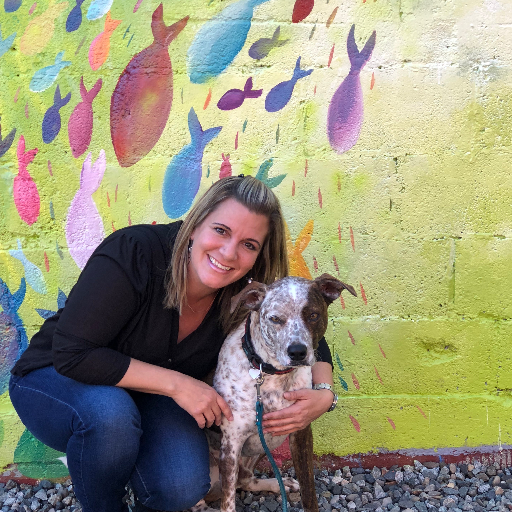 graphicgarden's profile picture. GRAPHIC DESIGN | WINDOW PAINTING | ILLUSTRATIONS logo design | print design | packaging design | hand painted signs | chalkboards | murals