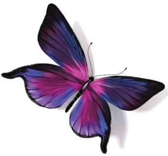 chesres1's profile picture. Cheshire Residential Lettings are an independent Letting and Property Management Company encompassing a wealth of experience within the property sector.