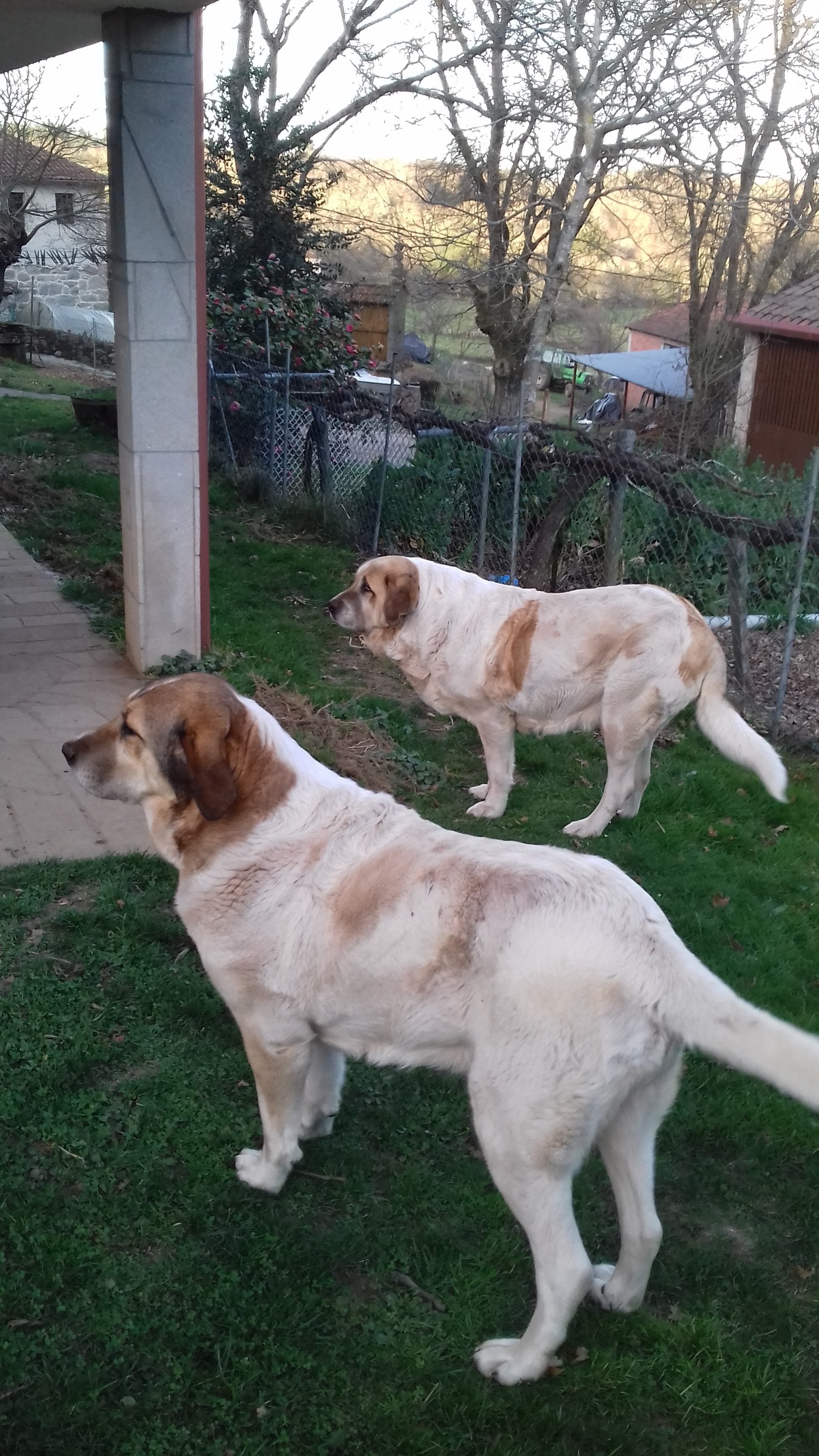 Flp77980382's profile picture. Falar