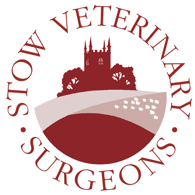 Located in the heart of the Cotswolds, Stow Veterinary Surgeons is dedicated to treating the animals of the surrounding area.

Tweets come from our website.