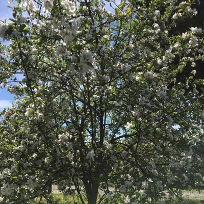 pharmtech2018's profile picture. Live, don’t just exist!