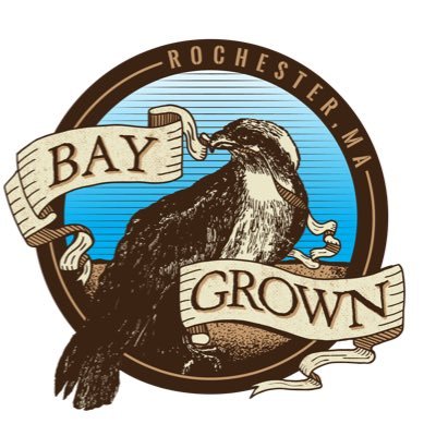 baygrown_farms's profile picture. Licensed hemp farm based out of Rochester, MA  #farmtotable CBD health products