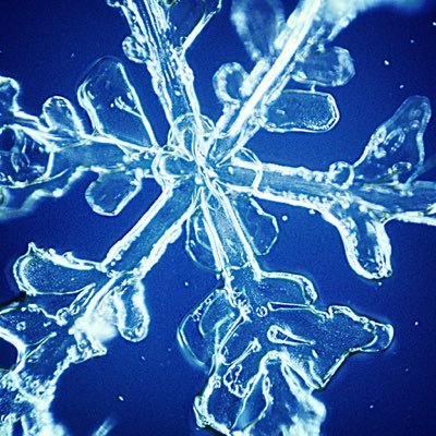 celuryu's profile picture. tik tok tik tok