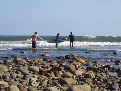 lukycoco's profile picture. 