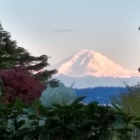 Seattle Slug Slayer (@rahrah77777) 's Twitter Profile