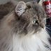 Rita Wiley (@rwblackhawk) Twitter profile photo Rita Wiley (@rwblackhawk) Twitter profile photo