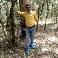 Susheel Chauhan(@SKchauh15484679) 's Twitter Profile Photo