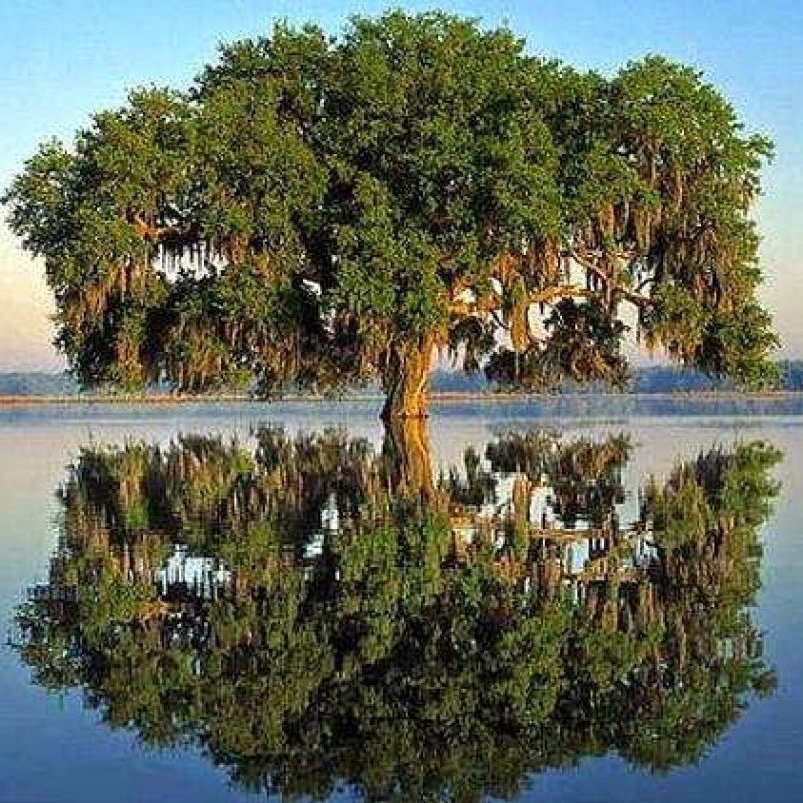 abraxasblue89's profile picture. Más compromiso y responsabilidad en este mundo.