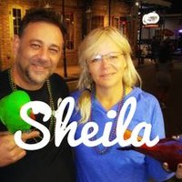 Sheila Williamson - @Bekindtostrays Twitter Profile Photo