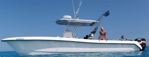 IslanderFishing's profile picture. 