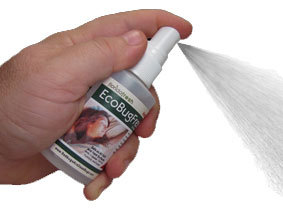 EcoBugFree's profile picture. With EcoBugFree BE Bedbug Eliminator from floridafresh, Bedbugs Are Dead Bugs!