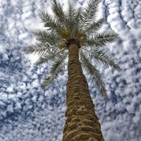 ابو احمد 89 (@excellent7030) 's Twitter Profile