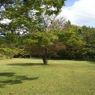 菊池高原ファミリーキャンプ場 Chiefukushima Twitter 菊池高原ファミリーキャンプ場 Chiefukushima Twitter
