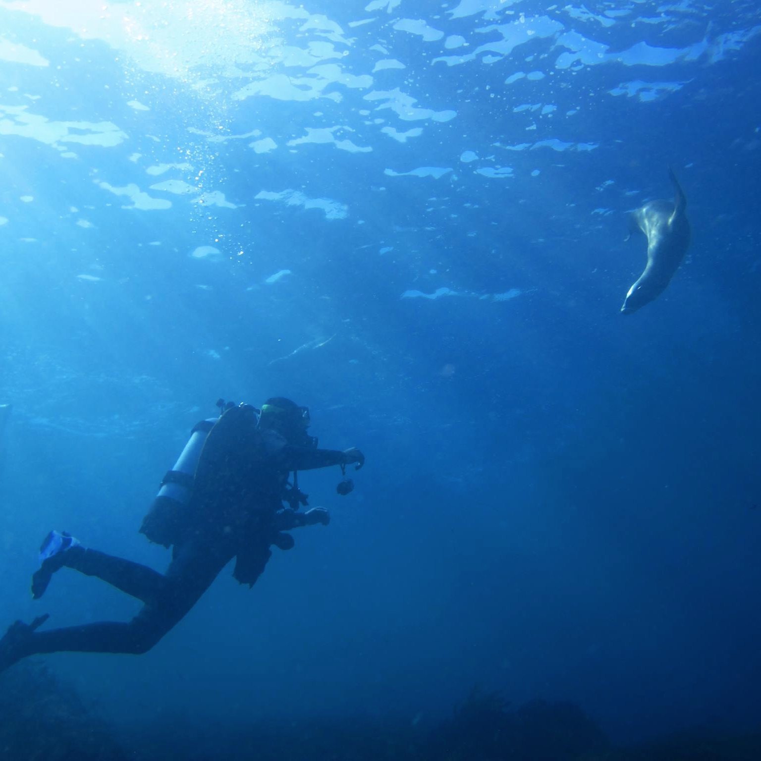 PhD Candidate in Marine Science and Avid Tinkerer - Researching environmental processes and solutions in inter-connected human and coastal ecosystems