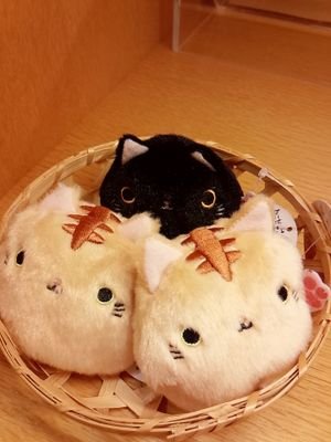 KoryoKoyangi's profile picture. 韓国と猫と音楽が好きな日本人。
豆腐メンタル･軽くがん経験者
🇰🇷語学留学経験あり。
한국과 고양이와 음악을 좋아하는 일본인.
基本愚痴多目🙏ついに韓国語の先生始めました🔰