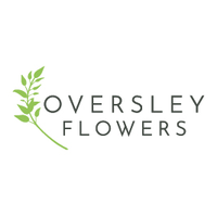 Oversley Flowers(@FlowersOversley) 's Twitter Profile Photo