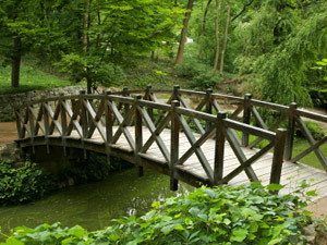 CHBridge's profile picture. We are the Community Health Bridge, working to bridge the community with health information.