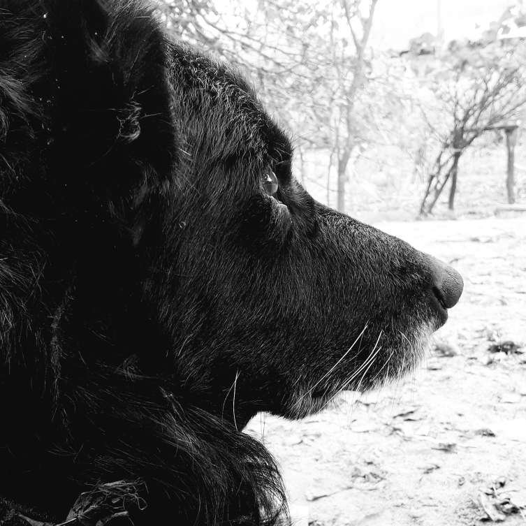 TCannonner's profile picture. 