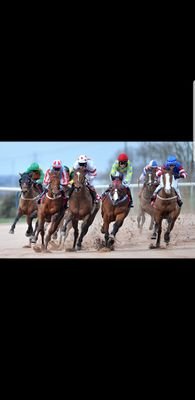 Free horse racing tips. Delivering 1st class tips and advice to smash the bookies.