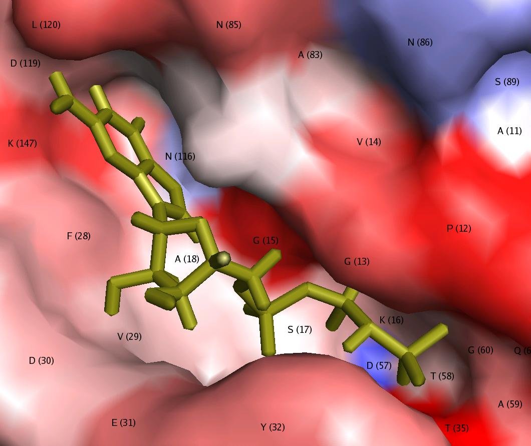 Dealing with Enzymes and Trascription at the Computational Biochemistry and Biophysics Lab at @uvic_ucc led by ORCID: 0000-0002-6359-3929