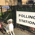 #DogsAtPollingStations (@votingdogs) Twitter profile photo #DogsAtPollingStations (@votingdogs) Twitter profile photo
