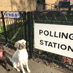 #DogsAtPollingStations (@VotingDogs) Twitter profile photo