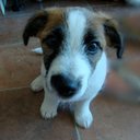 Harper Logan - @HarperLeeLogan - Twitter