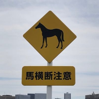 音楽と映画好き フロンターレにハマり中