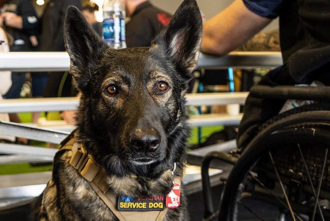 kweenmike's profile picture. Angola, Africa Cold War combat veteran, cavalry, bat, Africa by birth American by choice