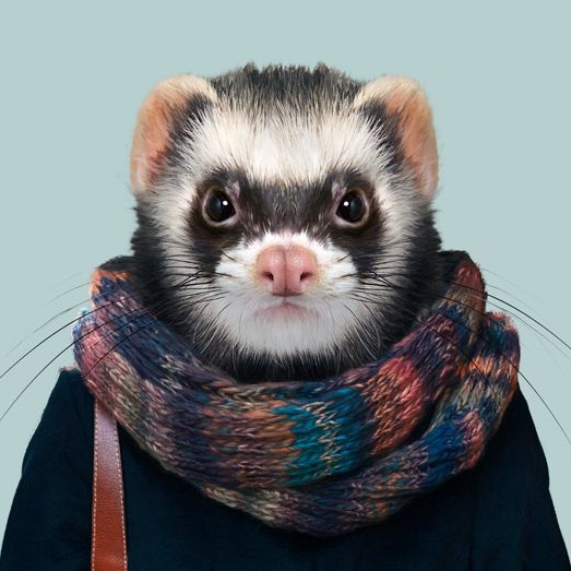 LeFuret